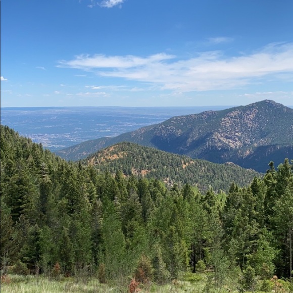 Meet your Posher, Joey - Picture 1 of 1